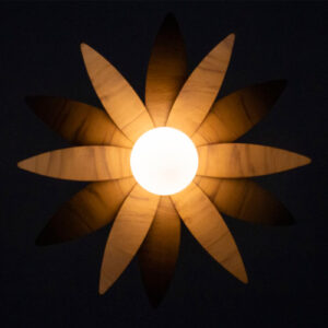 pendente_lirio_por_baixo_completa_escura