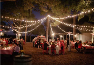 Varal de luz Descubra Uso