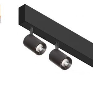 Modulo_Spot_duplo_Sistema_S33