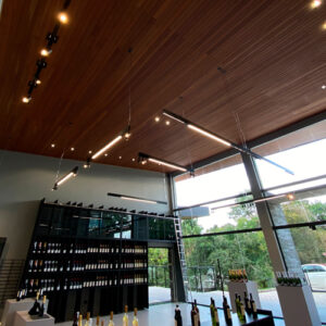 modulo_33_ambientado-7