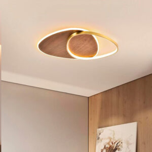 plafom_sedro_gota_ambientado_2