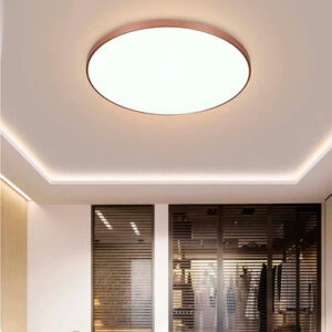 plafom_orbita_ambientado-5