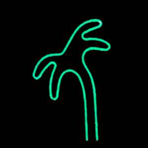 abajur_neon_coqueiro