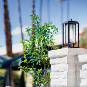 balizador_vitage_ambientado