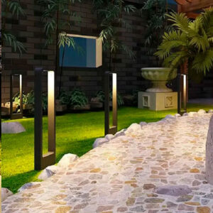 balizador_ronu_ambientado--2