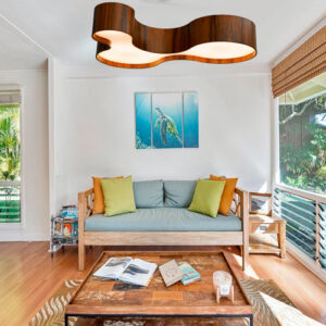 plafom_3_ameba_ambientado-2