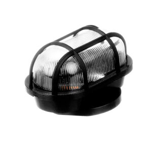 tartaruga_oval_preta