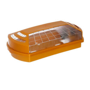 tartaruga_prisma_dourada