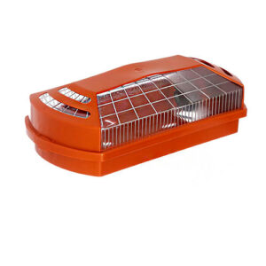 tartaruga_prisma_marrom