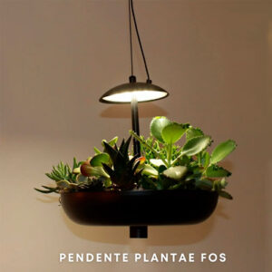 pendente_plantae_com_plantas2